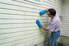 Best Siding Removal and Disposal  in Daisetta, TX